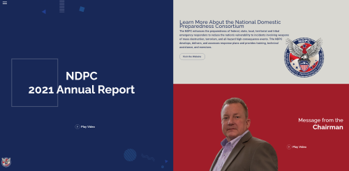 NDPC Annual Report