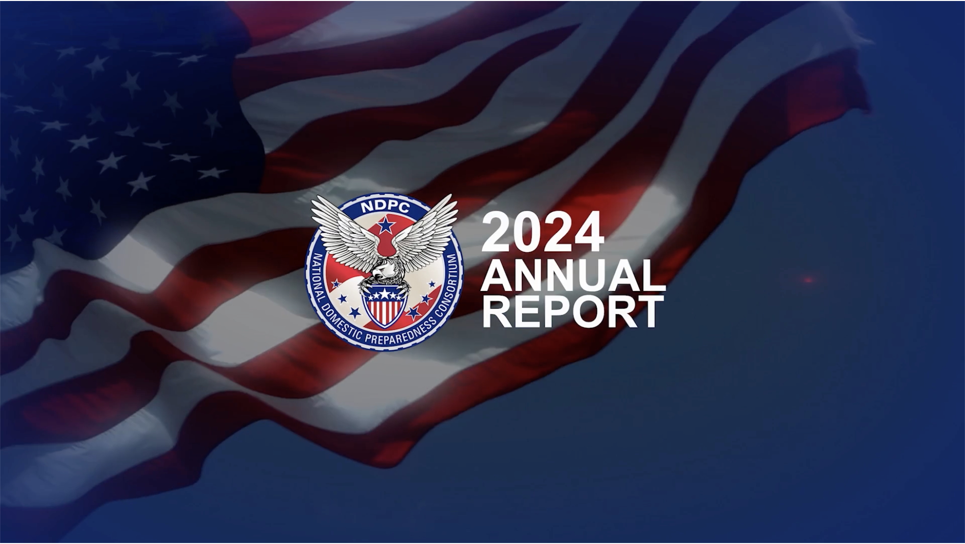 Screenshot of the 2024 NDPC Annual Report 